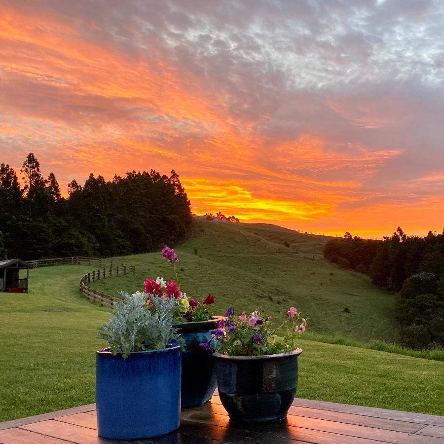 Te Arai Kauri Glen Bnb المظهر الخارجي الصورة