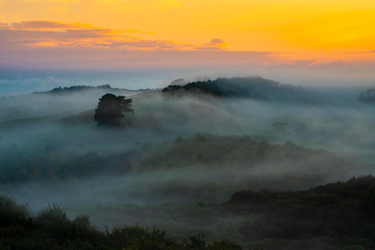Te Arai Kauri Glen Bnb المظهر الخارجي الصورة