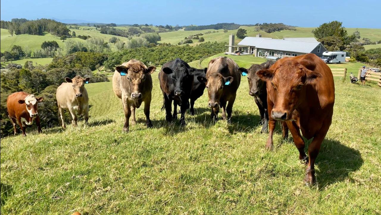 Te Arai Kauri Glen Bnb المظهر الخارجي الصورة