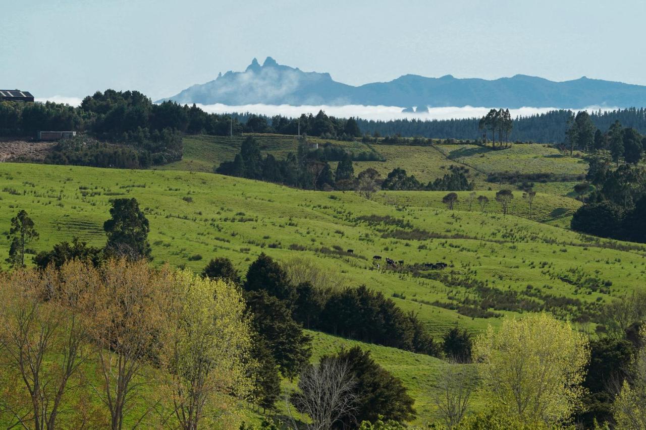 Te Arai Kauri Glen Bnb المظهر الخارجي الصورة